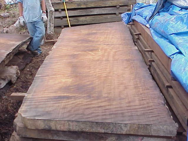 Redwood Curly Slab