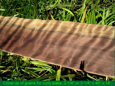 Curly grain slab