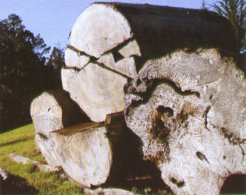 Salvaged redwood logs